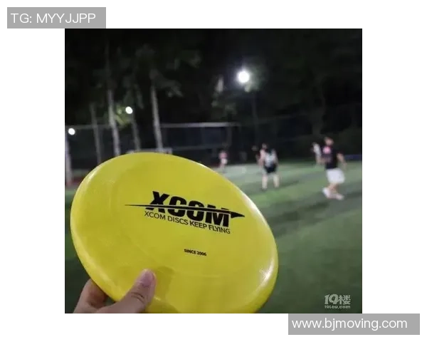 飞盘新手攻略：耐力入门指南_1