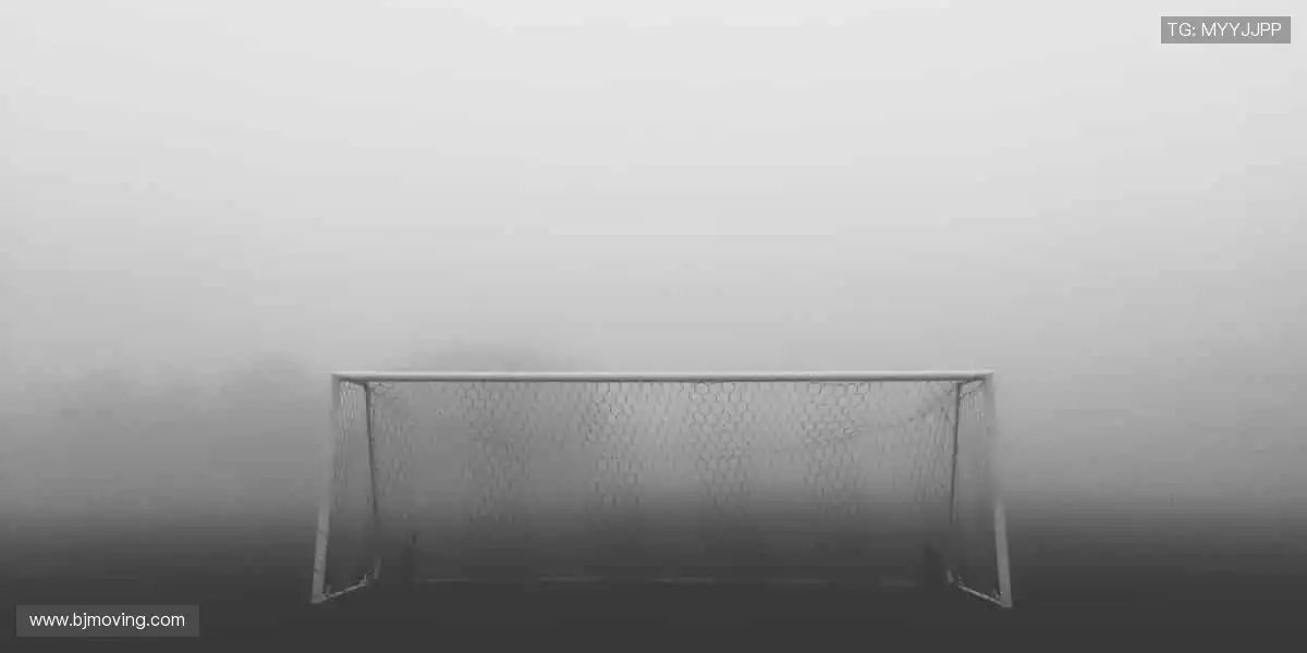 🎥多屏互动，实时弹幕，让观赛更有温度！